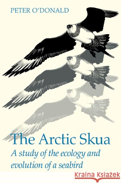 The Arctic Skua: A Study of the Ecology and Evolution of a Seabird O'Donald, Peter 9780521113342