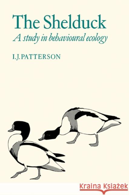 The Shelduck: A Study in Behavioural Ecology Patterson, I. J. 9780521113359 Cambridge University Press