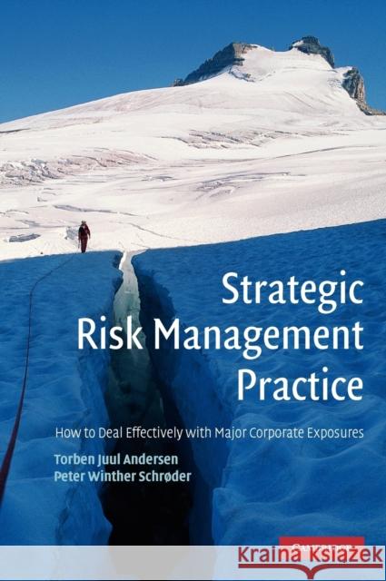 Strategic Risk Management Practice: How to Deal Effectively with Major Corporate Exposures Andersen, Torben Juul 9780521114240