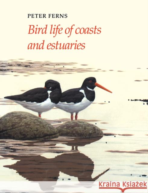 Bird Life of Coasts and Estuaries P. N. Ferns 9780521114493 Cambridge University Press