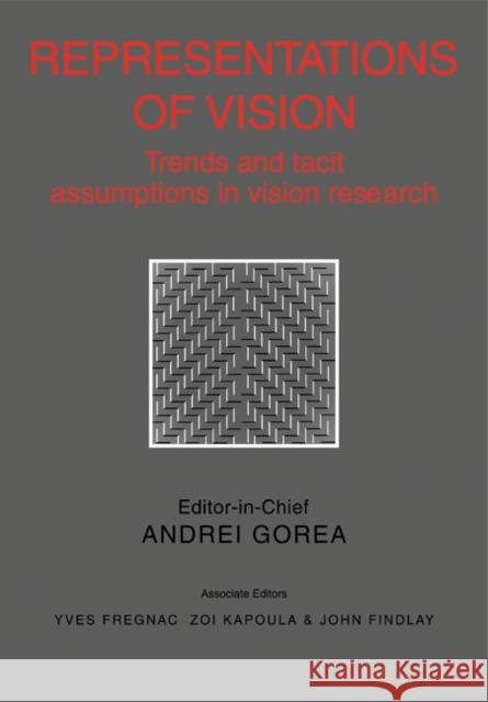 Representations of Vision: Trends and Tacit Assumptions in Vision Research Gorea, Andrei 9780521115056 Cambridge University Press