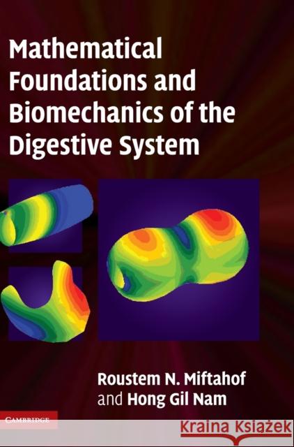 Mathematical Foundations and Biomechanics of the Digestive System Roustem N Miftahof 9780521116626