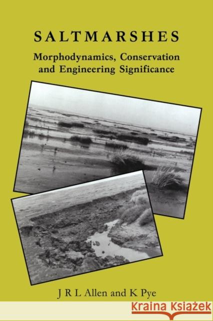 Saltmarshes: Morphodynamics, Conservation and Engineering Significance Allen, J. R. L. 9780521116992 Cambridge University Press