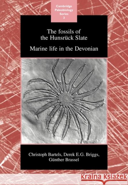 The Fossils of the Hunsrück Slate: Marine Life in the Devonian Bartels, Christoph 9780521117074 Cambridge University Press