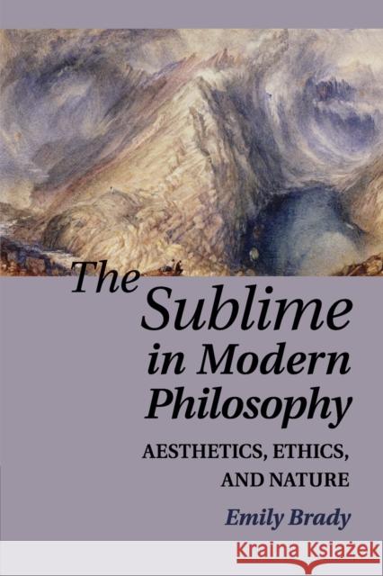 The Sublime in Modern Philosophy: Aesthetics, Ethics, and Nature Brady, Emily 9780521122917 Cambridge University Press