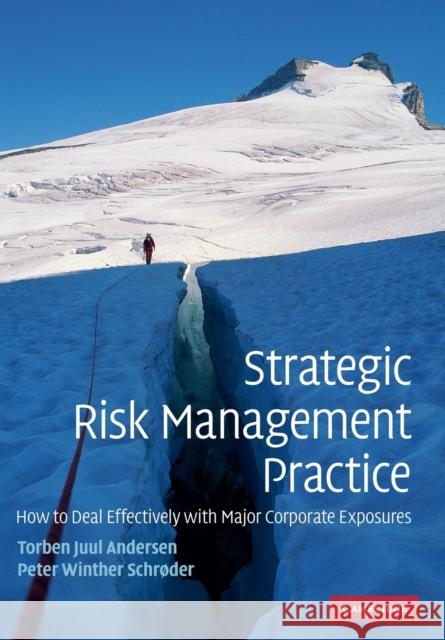 Strategic Risk Management Practice: How to Deal Effectively with Major Corporate Exposures Andersen, Torben Juul 9780521132152