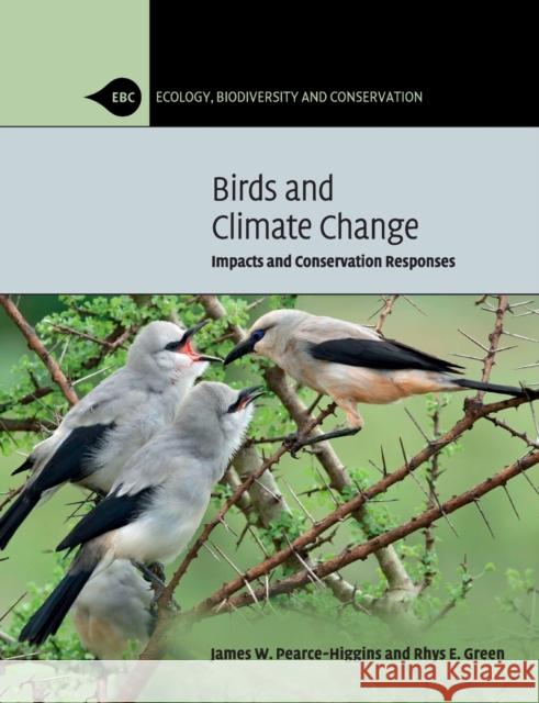 Birds and Climate Change: Impacts and Conservation Responses Pearce-Higgins, James W. 9780521132190 Cambridge University Press