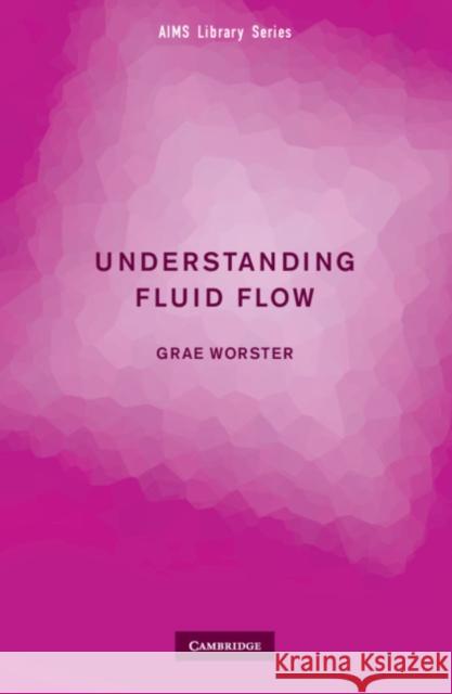 Understanding Fluid Flow Grae Worster (University of Cambridge) 9780521132893 Cambridge University Press