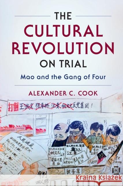 The Cultural Revolution on Trial: Mao and the Gang of Four Cook, Alexander C. 9780521135290