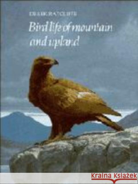 Bird Life of Mountain and Upland D. A. Ratcliffe 9780521142595 Cambridge University Press