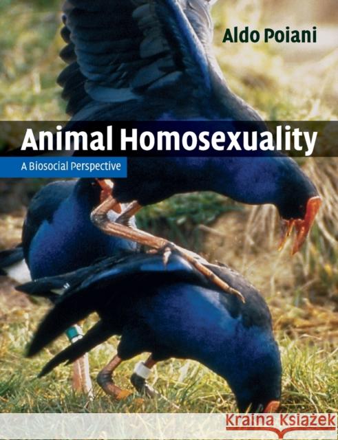 Animal Homosexuality Poiani, Aldo 9780521145145