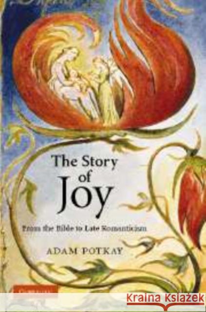 The Story of Joy: From the Bible to Late Romanticism Potkay, Adam 9780521178419 Cambridge University Press