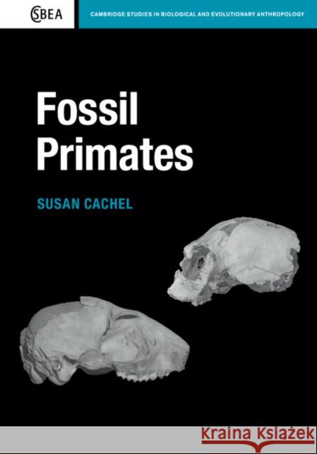 Fossil Primates Susan Cachel 9780521183024 CAMBRIDGE UNIVERSITY PRESS