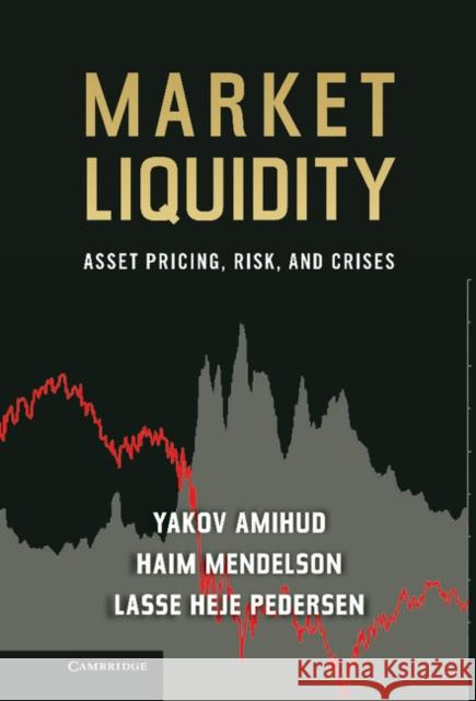 Market Liquidity Amihud, Yakov 9780521191760 Cambridge University Press