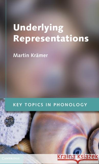 Underlying Representations Martin K 9780521192774 Cambridge University Press