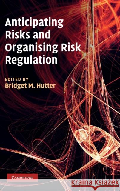 Anticipating Risks and Organising Risk Regulation Bridget Hutter 9780521193092 Cambridge University Press