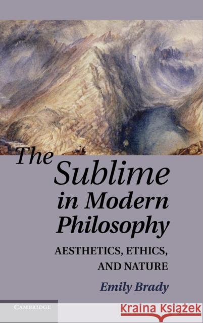 The Sublime in Modern Philosophy: Aesthetics, Ethics, and Nature Brady, Emily 9780521194143