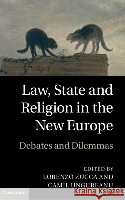 Law, State and Religion in the New Europe: Debates and Dilemmas Zucca, Lorenzo 9780521198103 0