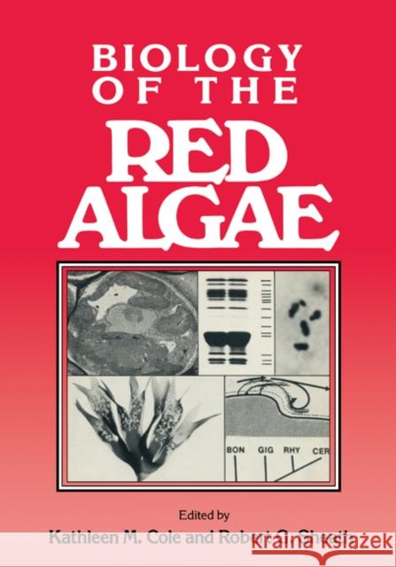 Biology of the Red Algae Kathleen M. Cole Robert G. Sheath 9780521202466 Cambridge University Press