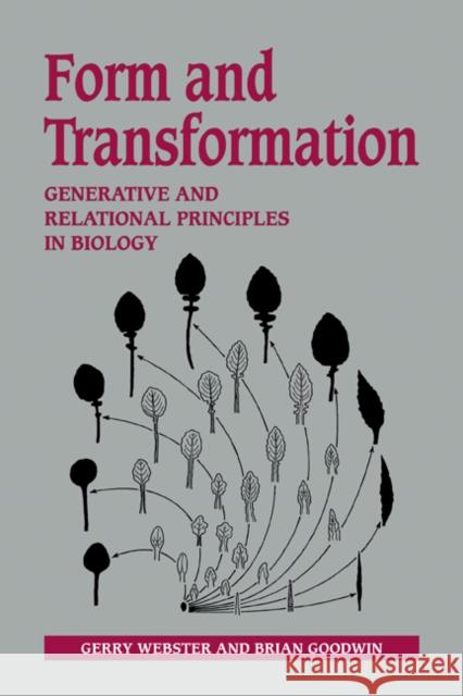 Form and Transformation: Generative and Relational Principles in Biology Webster, Gerry 9780521207430 