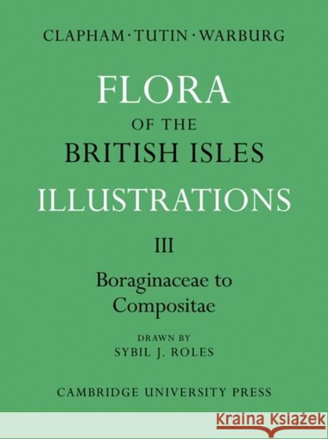 Flora of the British Isles: Illustrations Clapham, A. R. 9780521269643 Cambridge University Press