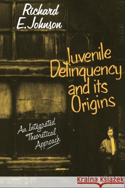 Juvenile Delinquency and Its Origins Johnson, Richard E. 9780521295161 Cambridge University Press