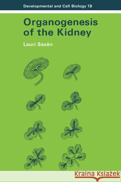 Organogenesis of the Kidney Lauri Saxen Jonathan B. L. Bard Peter W. Barlow 9780521301527