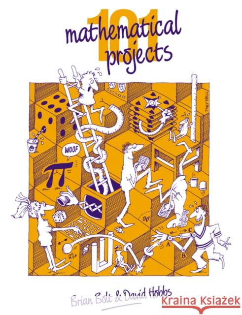 101 Mathematical Projects Brian Bolt 9780521347594 0