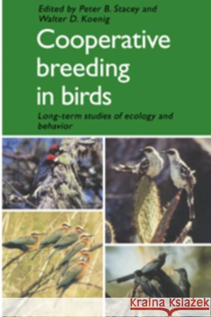 Cooperative Breeding in Birds: Long Term Studies of Ecology and Behaviour Stacey, Peter B. 9780521372985 CAMBRIDGE UNIVERSITY PRESS