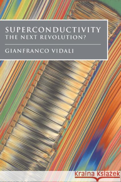 Superconductivity : The Next Revolution? Gianfranco Vidali 9780521377577 Cambridge University Press