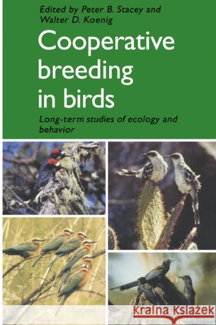 Cooperative Breeding in Birds: Long Term Studies of Ecology and Behaviour Stacey, Peter B. 9780521378901 Cambridge University Press