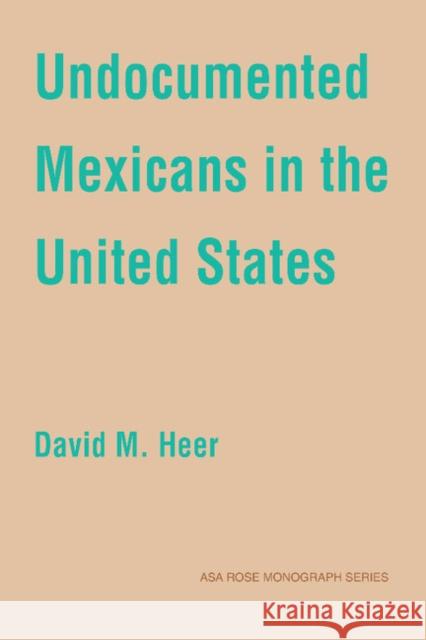 Undocumented Mexicans in the USA David M. Heer 9780521382472