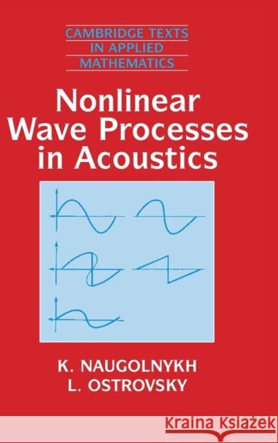 Nonlinear Wave Processes in Acoustics K. A. Naugol'nykh K. A. Nougolnykh D. G. Crighton 9780521390804 Cambridge University Press