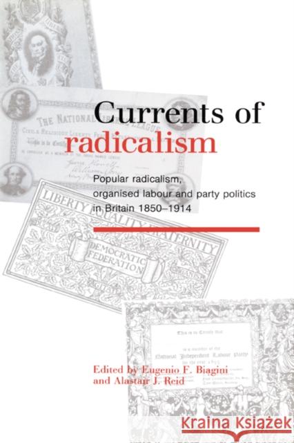 Currents of Radicalism: Popular Radicalism, Organised Labour and Party Politics in Britain, 1850-1914 Biagini, Eugenio F. 9780521394550