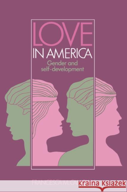 Love in America: Gender and Self-Development Cancian, Francesca M. 9780521396912 Cambridge University Press