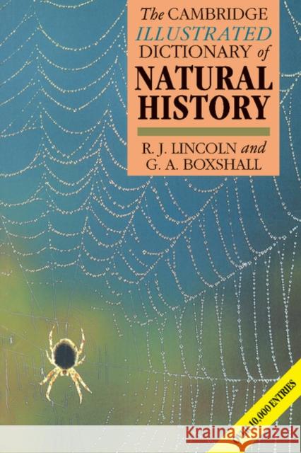 The Cambridge Illustrated Dictionary of Natural History R. J. Lincoln G. A. Boxshall Roberta Smith 9780521399418 Cambridge University Press