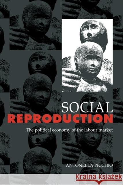 Social Reproduction Picchio, Antonella 9780521418720 Cambridge University Press