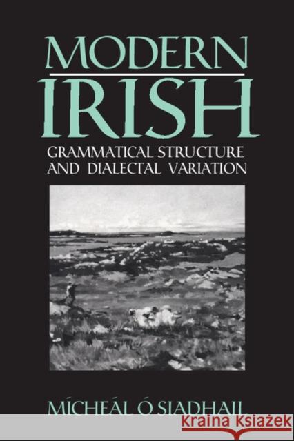 Modern Irish: Grammatical Structure and Dialectal Variation Ósiadhail, Mícheál 9780521425193 Cambridge University Press