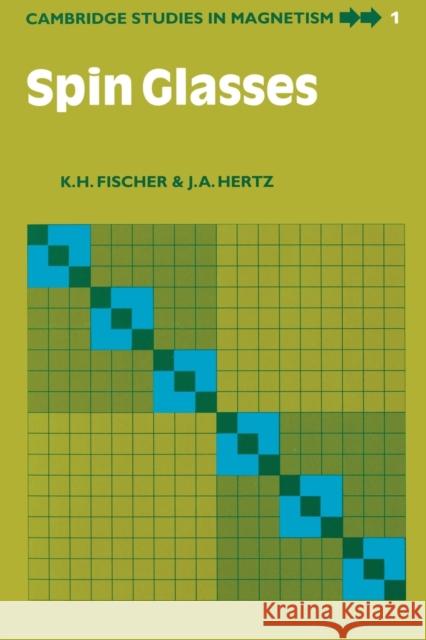 Spin Glasses K. H. Fischer J. A. Hertz 9780521447775 Cambridge University Press