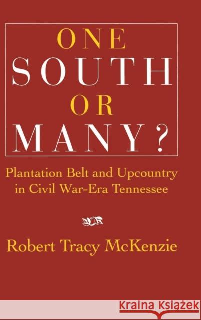 One South or Many?: Plantation Belt and Upcountry in Civil War-Era Tennessee McKenzie, Robert Tracy 9780521462709 Cambridge University Press