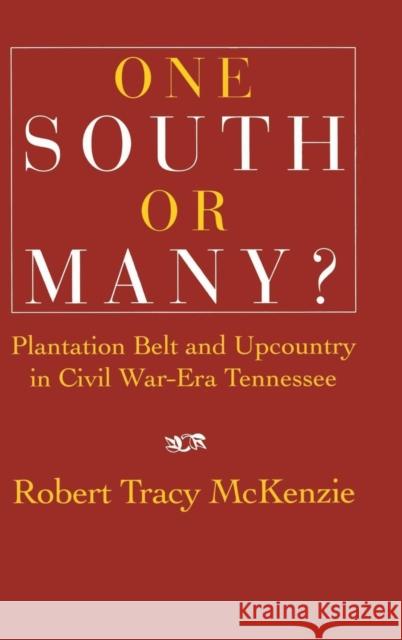 One South or Many?: Plantation Belt and Upcountry in Civil War-Era Tennessee McKenzie, Robert Tracy 9780521462709