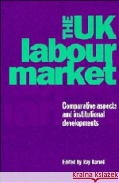 The UK Labour Market: Comparative Aspects and Institutional Developments Barrell, Ray 9780521468251