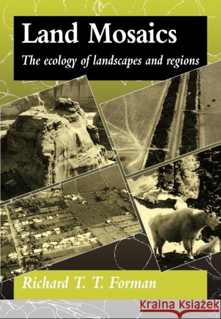 Land Mosaics: The Ecology of Landscapes and Regions Forman, Richard T. T. 9780521479806