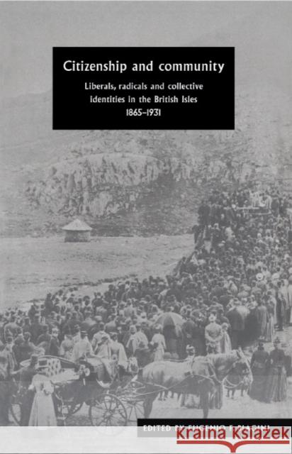 Citizenship and Community: Liberals, Radicals and Collective Identities in the British Isles, 1865–1931 Eugenio F. Biagini (Princeton University, New Jersey) 9780521480352 Cambridge University Press