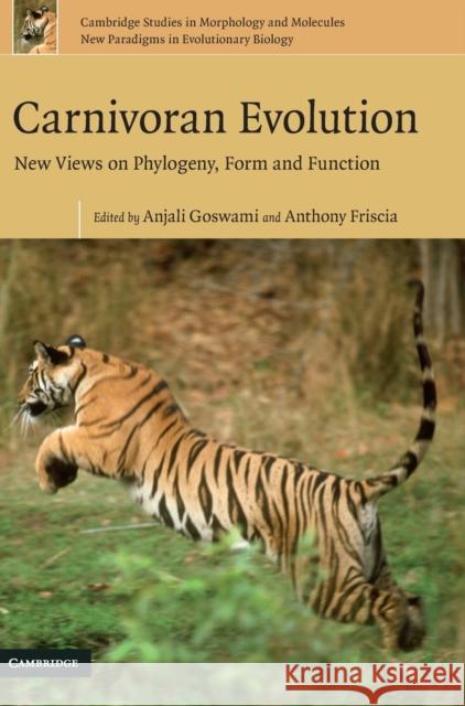 Carnivoran Evolution: New Views on Phylogeny, Form and Function Goswami, Anjali 9780521515290