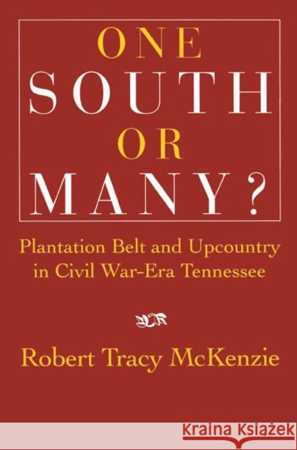 One South or Many?: Plantation Belt and Upcountry in Civil War-Era Tennessee McKenzie, Robert Tracy 9780521526111 Cambridge University Press