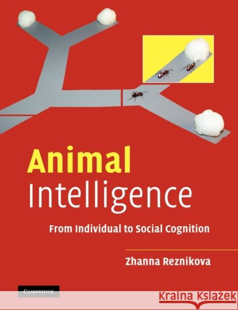 Animal Intelligence: From Individual to Social Cognition Reznikova, Zhanna 9780521532020 Cambridge University Press