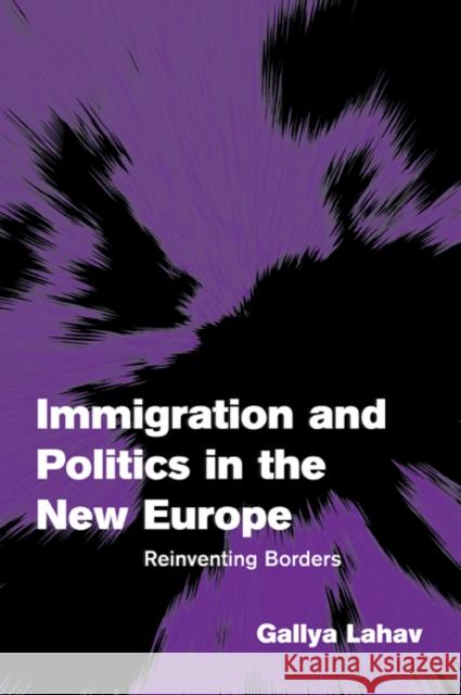 Immigration and Politics in the New Europe: Reinventing Borders Lahav, Gallya 9780521535304 Cambridge University Press