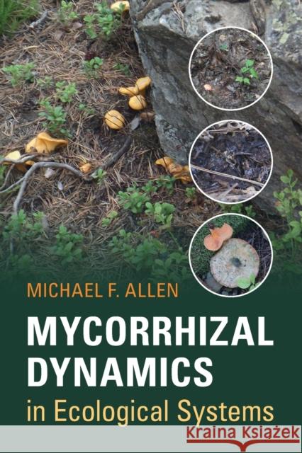 Mycorrhizal Dynamics in Ecological Systems Michael F. Allen 9780521539104