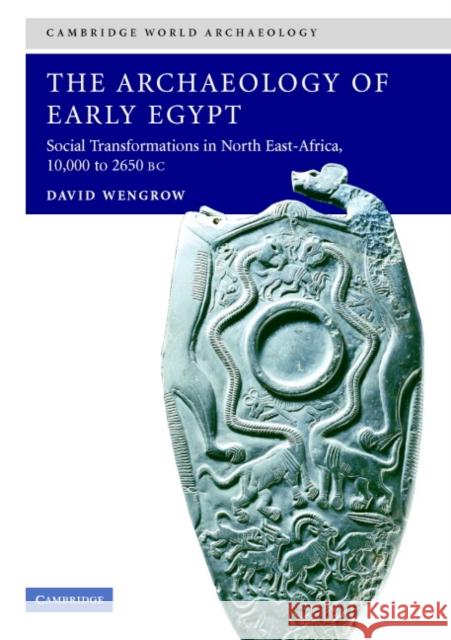 The Archaeology of Early Egypt: Social Transformations in North-East Africa, c.10,000 to 2,650 BC David Wengrow (University College London) 9780521543743